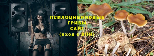 эйфоретик Армянск