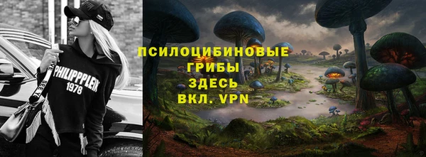 мескалин Арсеньев
