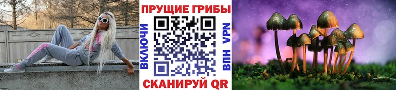 магазин  наркотиков  Пустошка  mega tor  Псилоцибиновые грибы мицелий 